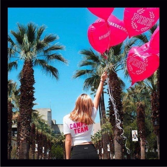 Victoria’s Secret Pink On Campus Mylar Balloon Prop - Picture 1 of 5